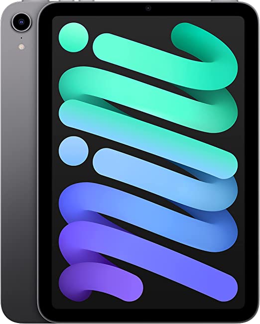 2021 Apple iPad Mini (Wi-Fi, 256GB)